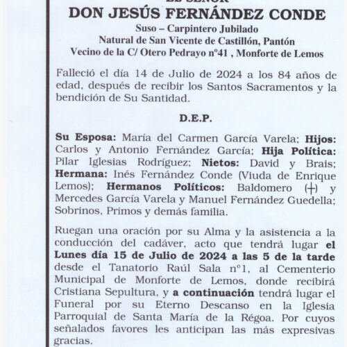 EL SEÑOR DON JESÚS FERNÁNDEZ CONDE